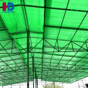 lưới Đài Loan khổ 3m