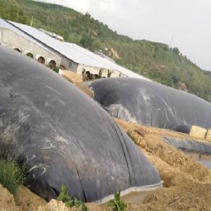 bạt nhựa hdpe
