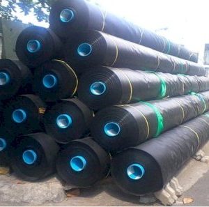 Bạt HDPE lót hồ tôm