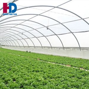 Màng nhà kính Israel – Politiv