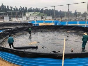 Địa chỉ mua bạt HDPE uy tín tại HẢI DƯƠNG