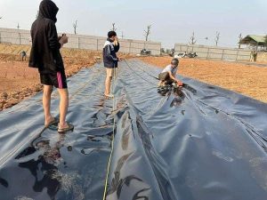 Bạt NHỰA HDPE